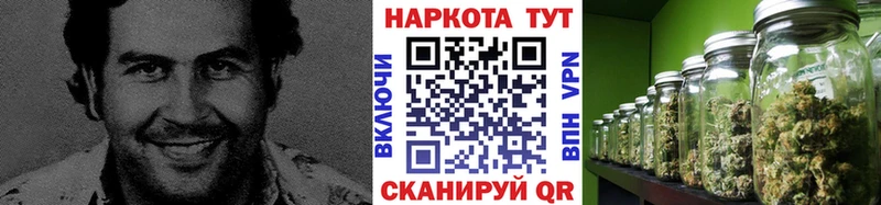 Купить наркотик аптеки Армавир Конопля  Cocaine  Гашиш 