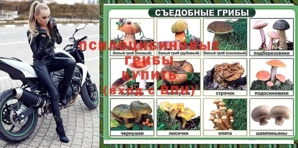ГАЛЛЮЦИНОГЕННЫЕ ГРИБЫ Нефтекумск