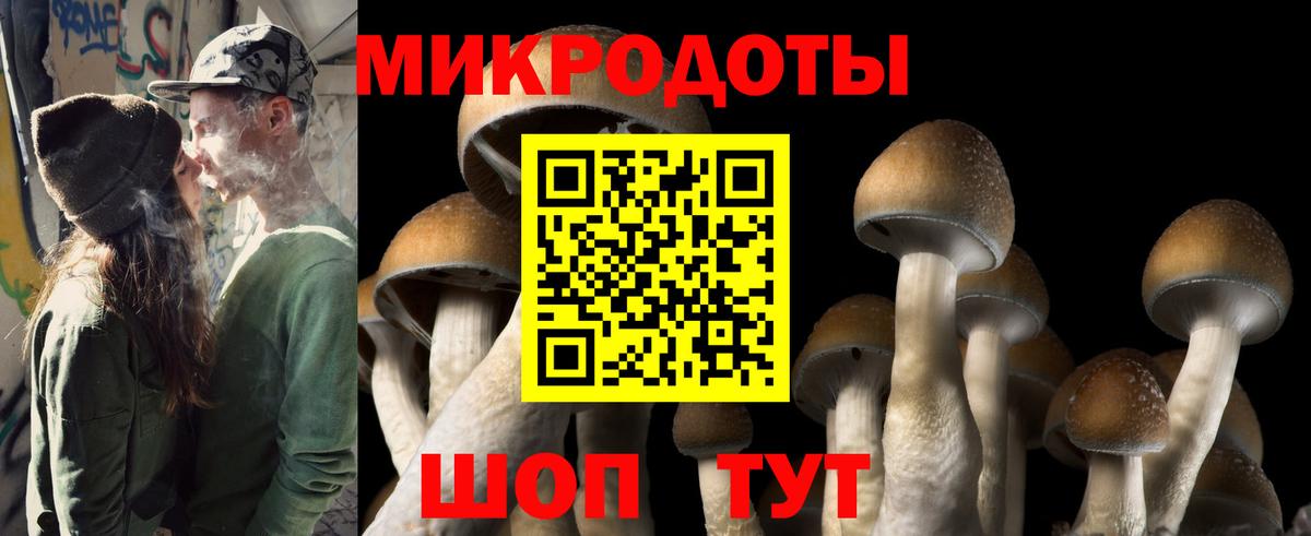 Псилоцибиновые грибы Magic Shrooms Армавир