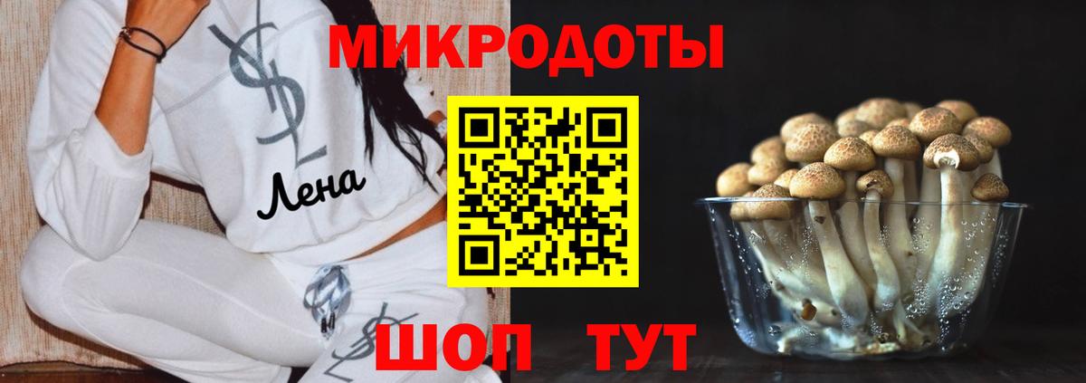 Псилоцибиновые грибы Psilocybe  Псилоцибиновые грибы MAGIC MUSHROOMS  Вход с VPN  купить закладку  Армавир 