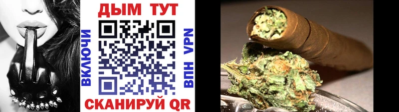 магазин  наркотиков  Армавир  Канабис тримм 